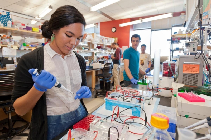 Biomedical Engineering Degree | The University of Arizona