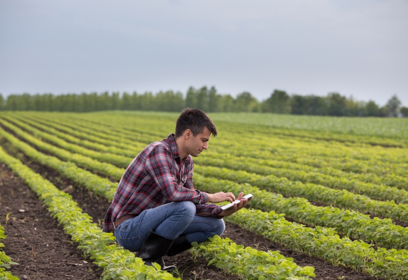 Agriculture Technology Management Emphasis | The University of Arizona
