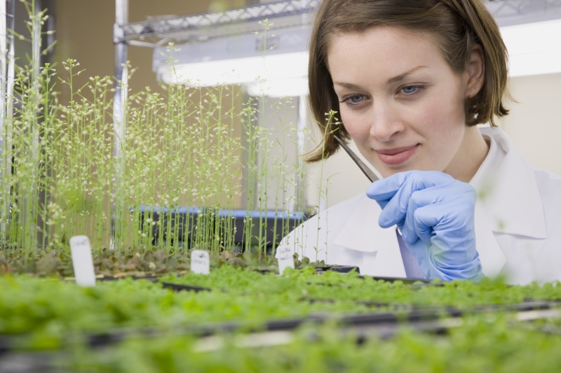 Plant Sciences Undergraduate Majors | The University of Arizona, Tucson,  Arizona