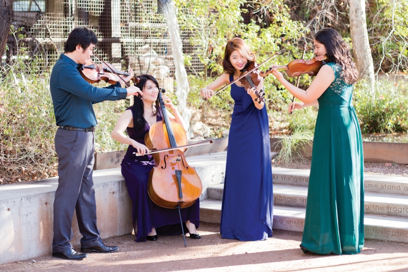 Violin Performance Major The University of Arizona